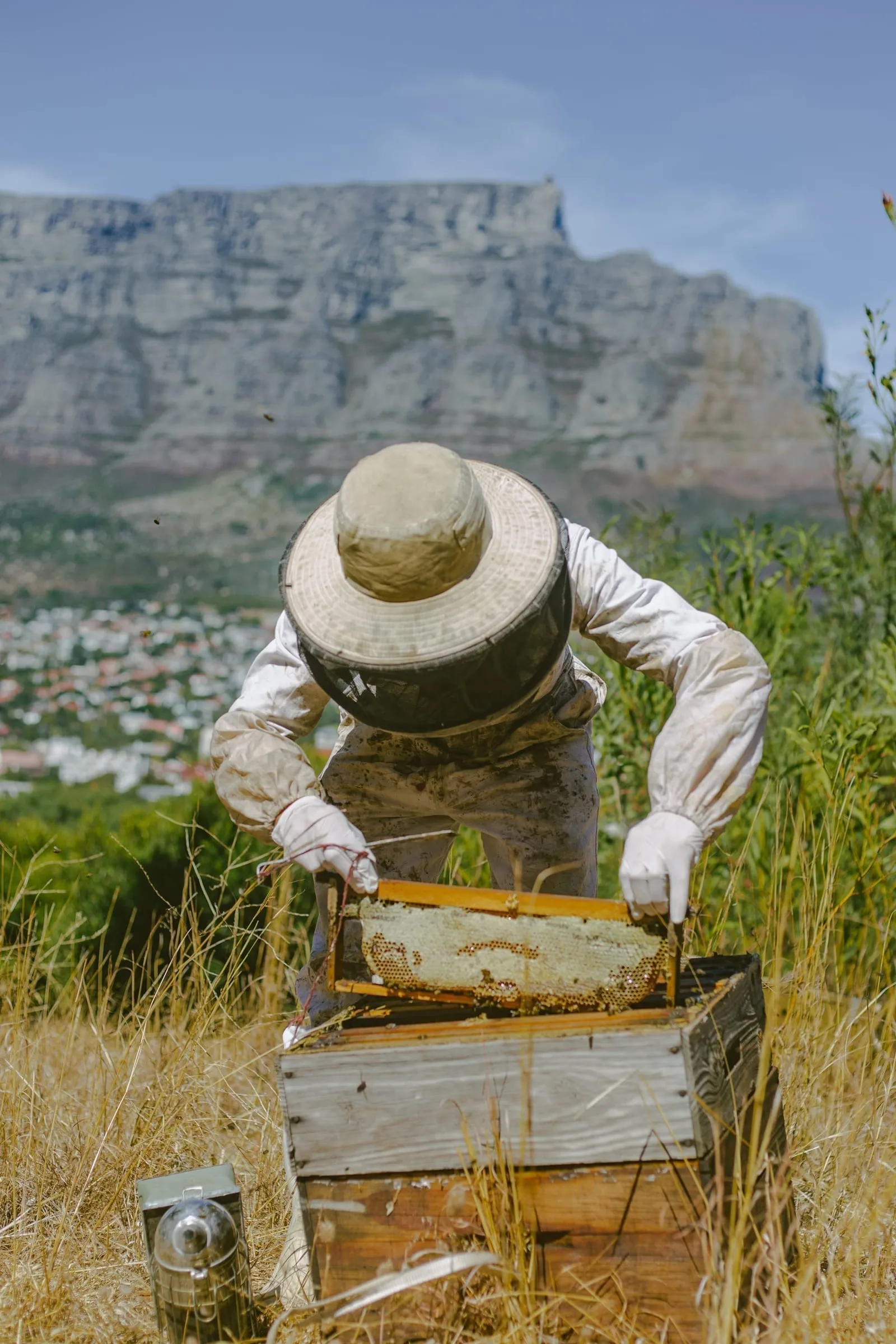 Jacques Barben tending beehives at a Barben Bees apiary in the Western Cape
